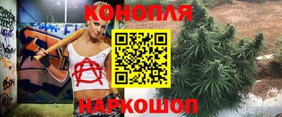 СК Ярославль