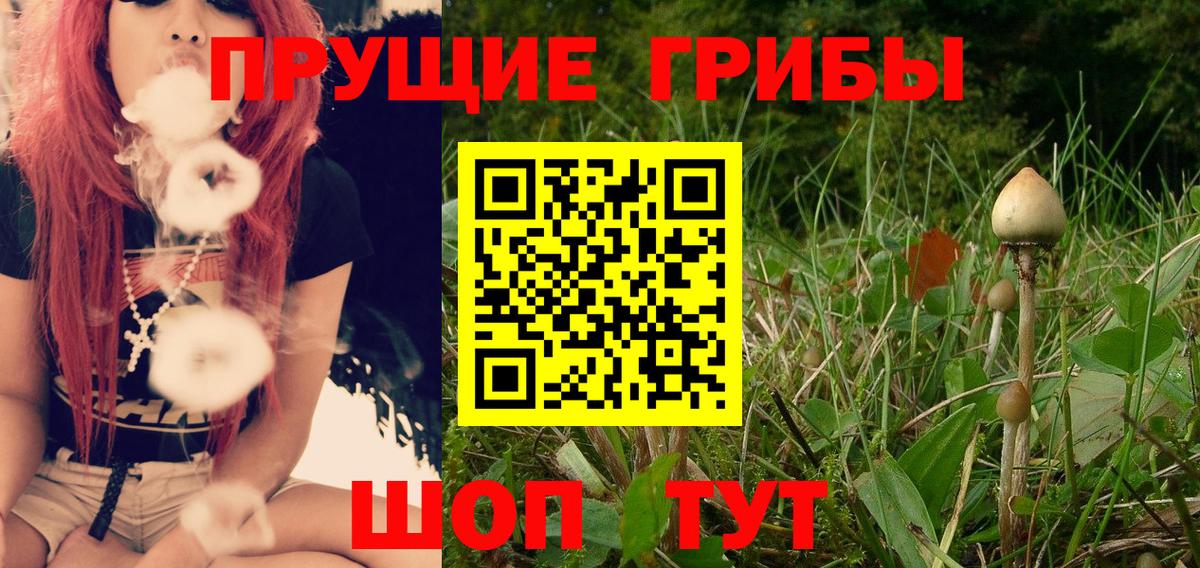 Галлюциногенные грибы мухоморы Астрахань