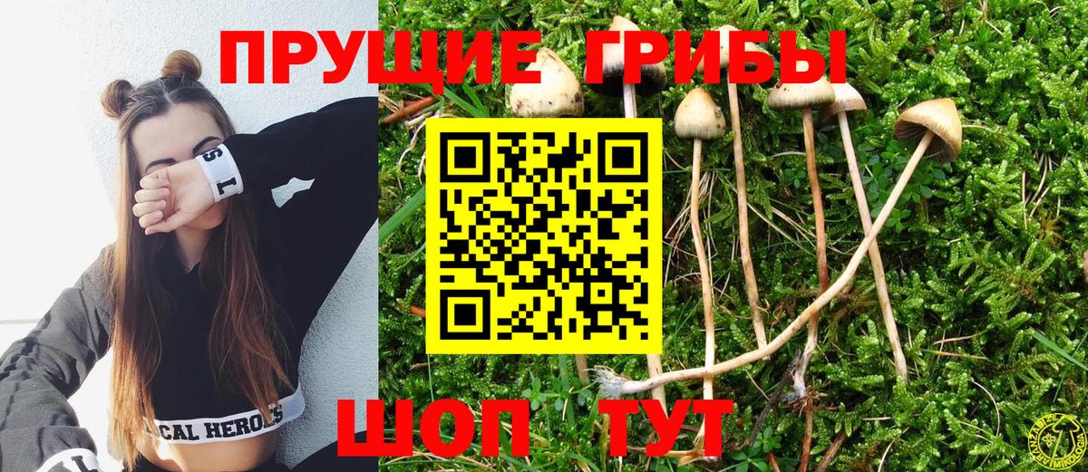 Галлюциногенные грибы MAGIC MUSHROOMS  Псилоцибиновые грибы Magic Shrooms  Вход с VPN  Астрахань 